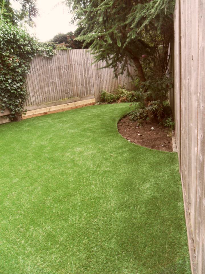 Residential garden with lush artificial grass lawn, curved edging and natural landscaping against wooden fence