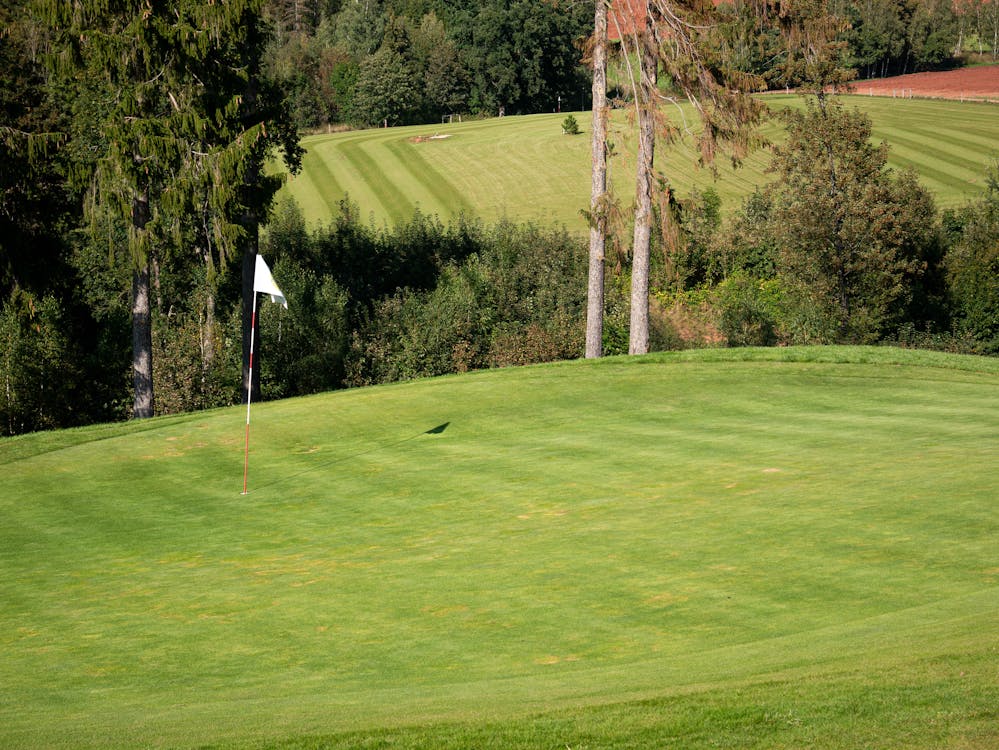 Lush manicured putting green with flagstick on a sunny day
